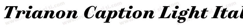 Trianon Caption Light Italic字体转换